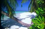 Maldives - beach paradise